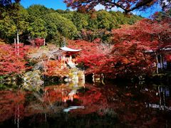 -醍醐寺