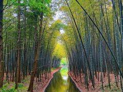 -同里国家湿地公园