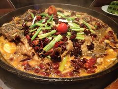 -老板恋上鱼(高新万达店)