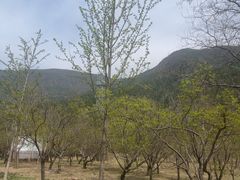 -北京十三陵国家森林公园蟒山景区