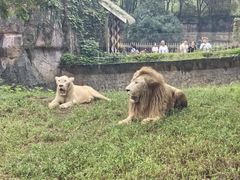 -杭州野生动物世界