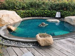 -溧阳天目湖天沐温泉