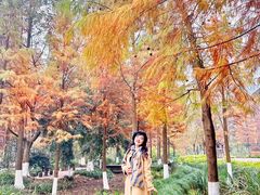 -重庆彩云湖湿地公园