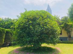 -南京中国近代史遗址博物馆(南京总统府)