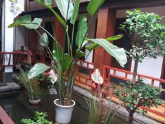 -小江南(老洋桥店)