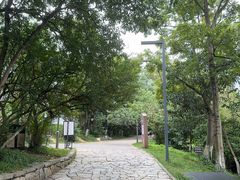 -花溪公园