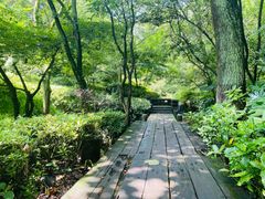 -杭州半山国家森林公园