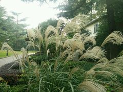 -上海虹桥迎宾馆