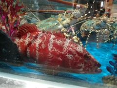-盒马鲜生(莱蒙都会店)