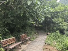 -大岭沟猕猴桃谷风景区
