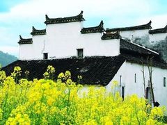 -富国岛珍珠游乐园
