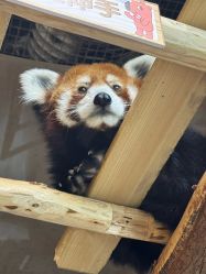 -Zoolung Zoolung动物主题公园(海信广场店)