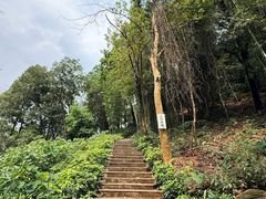 -广州市帽峰山景区