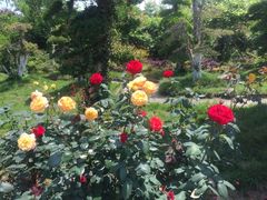 -武汉紫薇都市田园