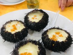 海胆蒸蛋-蚝专家(北滘店)