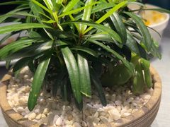 -绿波廊(豫园店)