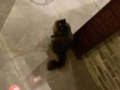 -一盃山水咖啡茶馆