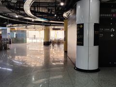 -东方体育中心(地铁站)