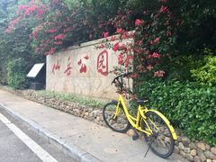 -仙岳公园