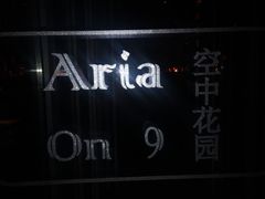 -四季酒店·空中花园 Aria on 9