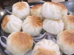 -鸽鸟轩(石岐店)