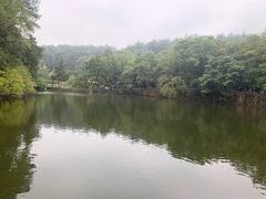 -韶山毛泽东同志故居