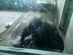 -秦皇岛野生动物园