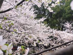 -南山植物园