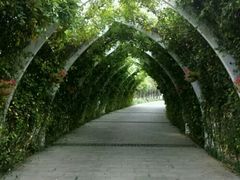 -天津东丽湖风景区