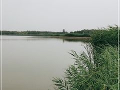 -西青郊野公园
