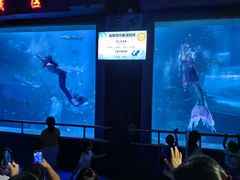 -太平洋海底世界