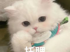 -愿者上钩(布吉老街店)