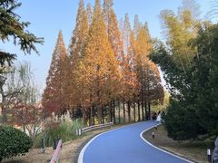 -宜兴龙背山森林公园