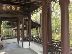 -上海佘山国家森林公园天马山园