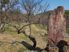 -无锡梅园公园