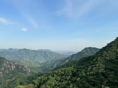 -大岭沟猕猴桃谷风景区