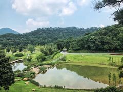 -国恩寺