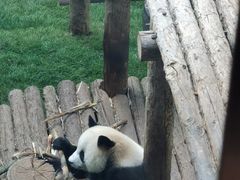 -大连森林动物园