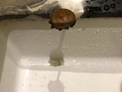 -碧桂园凤凰城酒店(南京店)