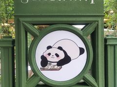 -轩客会(熊猫书店)