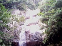 -王顺山国家森林公园