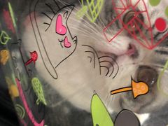 -灵美宠物诊所