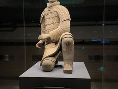-秦始皇帝陵博物院(兵马俑)
