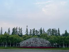 -上海海湾国家森林公园