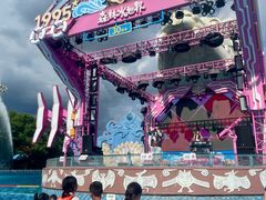 -苏州乐园森林水世界