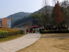 -桃花岭景区