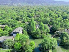 -西溪国家湿地公园