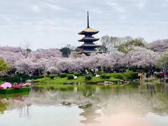-东湖生态旅游风景区