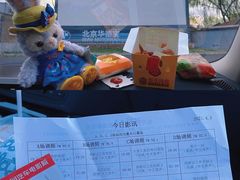 -枫花园汽车电影院(朝阳公园店)