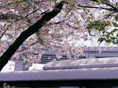 -南浦大桥长途旅游客运站